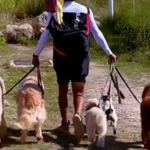 DOGLIFESQUADS-EDUCACIOIN