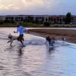 doglifesquads-barcelona-6